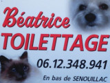 Beatrice toilettage  Chat/Chie