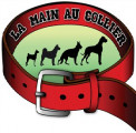 La Main Au Collier - Éducation canine - Royan - Saintes - Rochefort