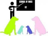 School of dogs 62