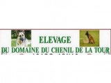 Du Chenil de la Tour