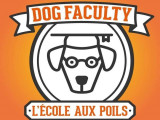 Dog Faculty