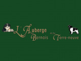 L'auberge du Bernois et du Terre-Neuve