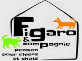 Figaro et compagnie