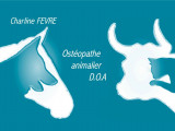 Charline Fèvre, ostéopathe animalier