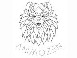 Animozen & co