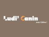 Ludi'canin