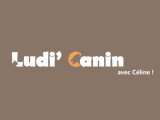 Ludi'canin