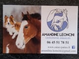 Ostéopathe Animalier Leoncini Amandine