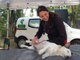 Christelle Poncie ostéopathe et masseur pour chiens
