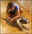 So Sweet Doggy - Massage pour chien