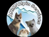Anim'Alpin Services