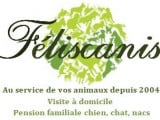 Feliscanis Services