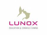 LUNOX - Éducation & Conseils canins