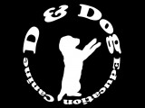 D et Dog