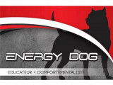 Energy Dog