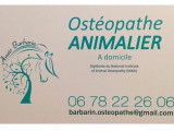 Ostéopathe Animalier