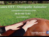 Laura Cardoso-Ott ostéopathe animalier