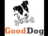 Good Dog – Education canine à Domicile