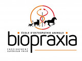 Biopraxia - Ecole d'osthéopathie animale