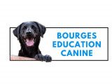 bourges education canine