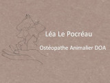 Ostéopathie Animale - Léa Le Pocreau
