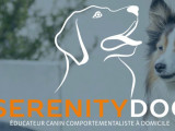 Serenity-Dog - Alban Chabot Educateur Canin Comportementaliste
