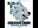 Beghin Education Canine