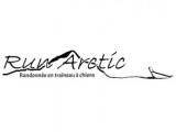Run Artic