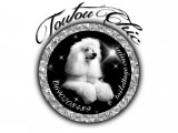 Toutou Chic