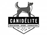 Canidélite