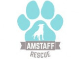 Amstaff Rescue