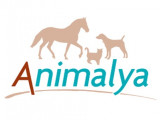 Animalya-Physio