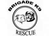 Brigade K9 Rescue