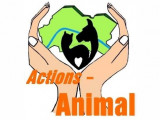 Actions-animal