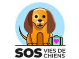 SOS Vies de chiens