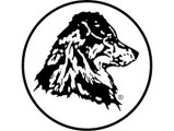 Australian Shepherd Club of America (A.S.C.A.)