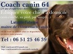 Coach Canin 64