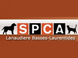 SPCA Lanaudière Basses Laurentides