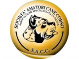Societa' Amatori Cane Corso (S.A.C.C.)