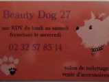 Beauty Dog 27