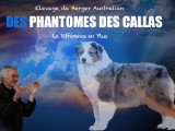 Des Phantomes De Callas
