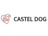 Castel Dog
