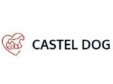 Castel Dog