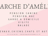 L'arche D'Amélie