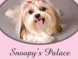Snoopy's Palace