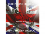 Lecat's Bulldog