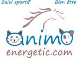 Animoenergetic OSTÉOPATHE ANIMALIER  - SHIATSU - Communication Animale