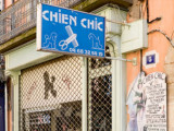 Chien Chic