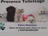 À Provence Toilettage