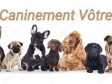 Caninement Vôtre